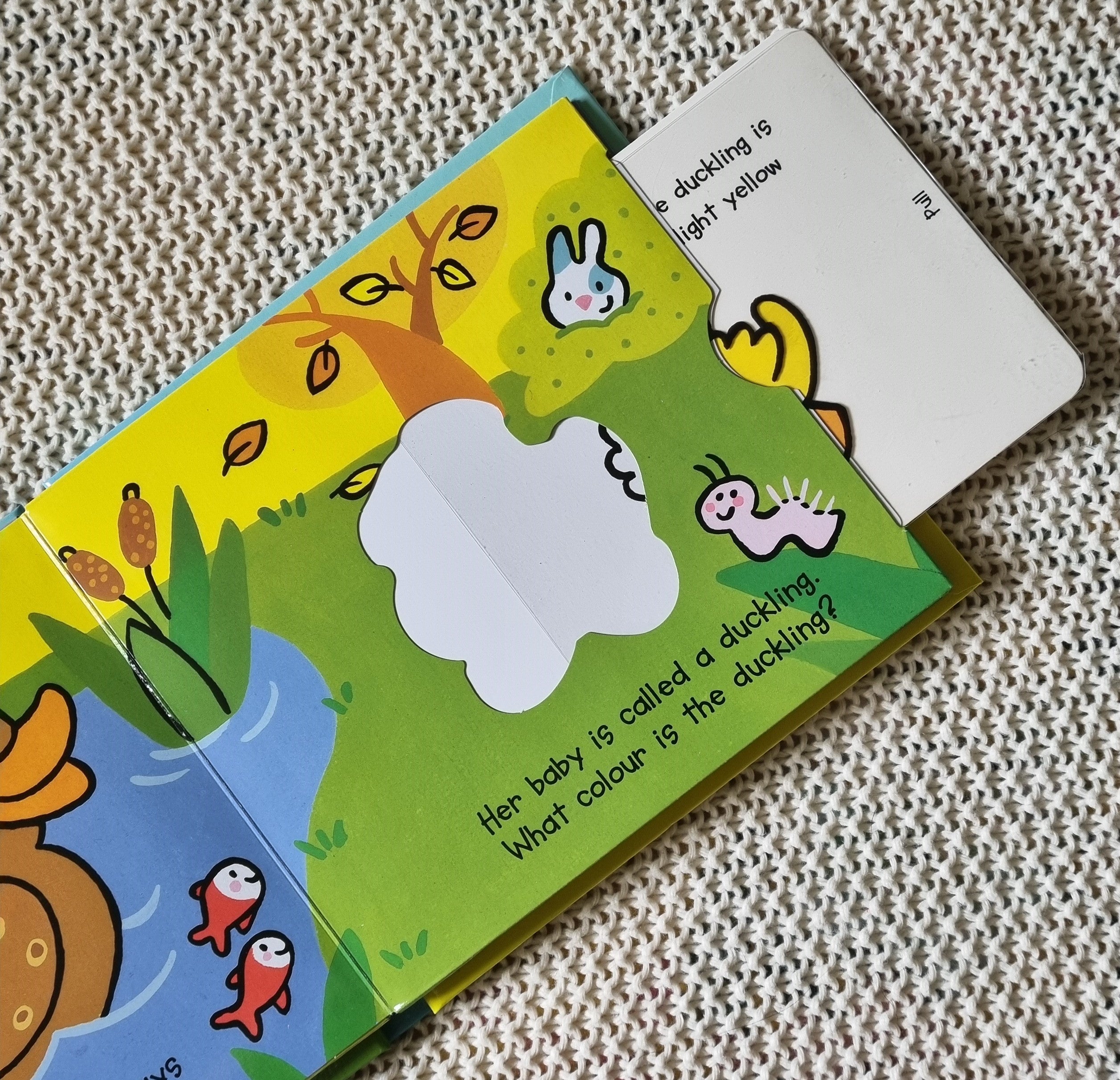 Baby Animals - Magic Colour Book